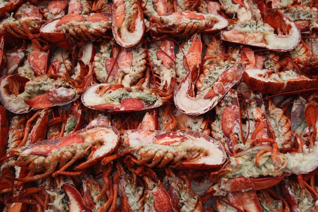 Lobsters are prepared to be grilled at the 'Salon Prive' luxury and supercar event on June 22, 2011 in London, England.