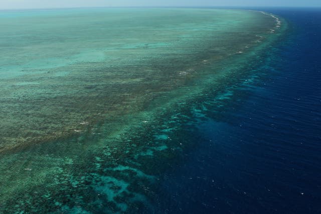 US fighter jets dropped unarmed bombs on the World Heritage-listed Great Barrier Reef last week after a training exercise went wrong, it emerged yesterday, in a revelation that outraged environmentalists.