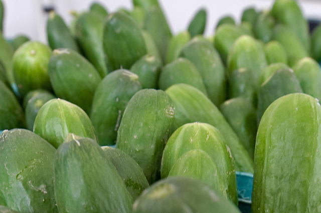 36 cucumbers have been found around the Hampstead Garden Suburb area