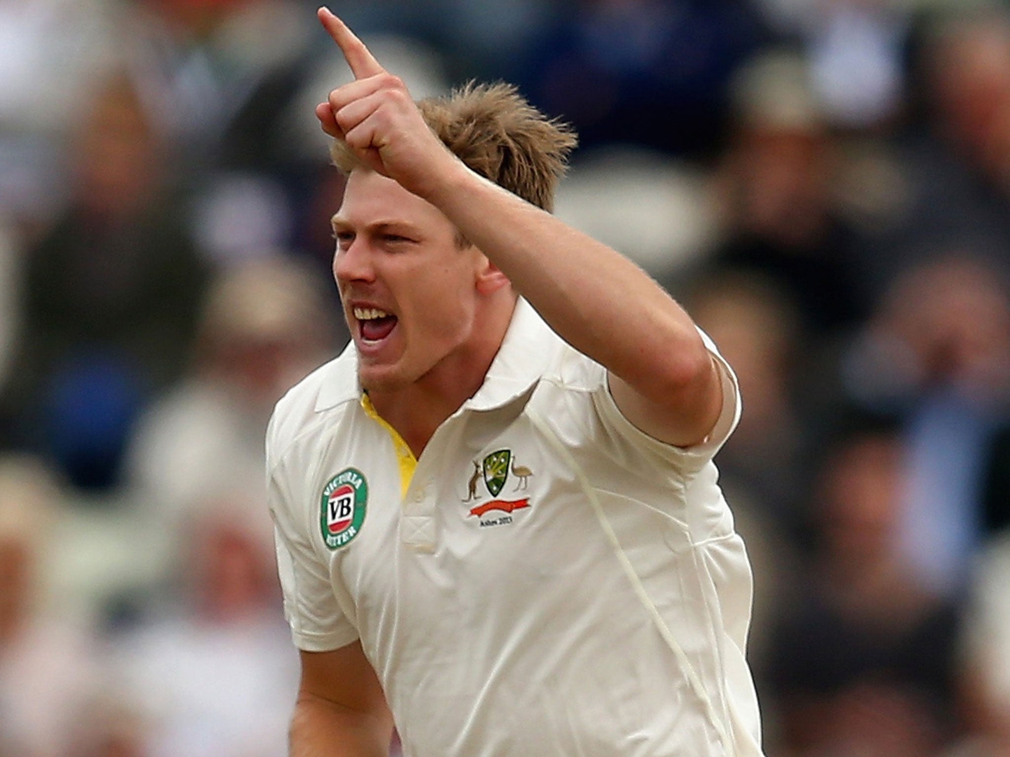 James Faulkner: Left-arm quick bowler and typically hard-nosed Australian, his runs against England in the Champions Trophy showed batting credentials.