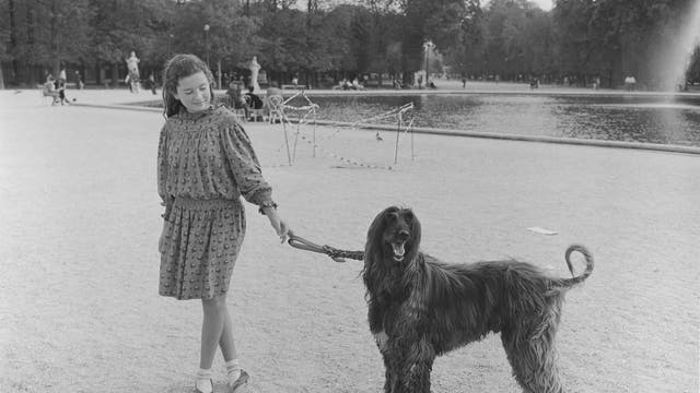 In black-and-white: Photographer Mark Steinmetz sought ...