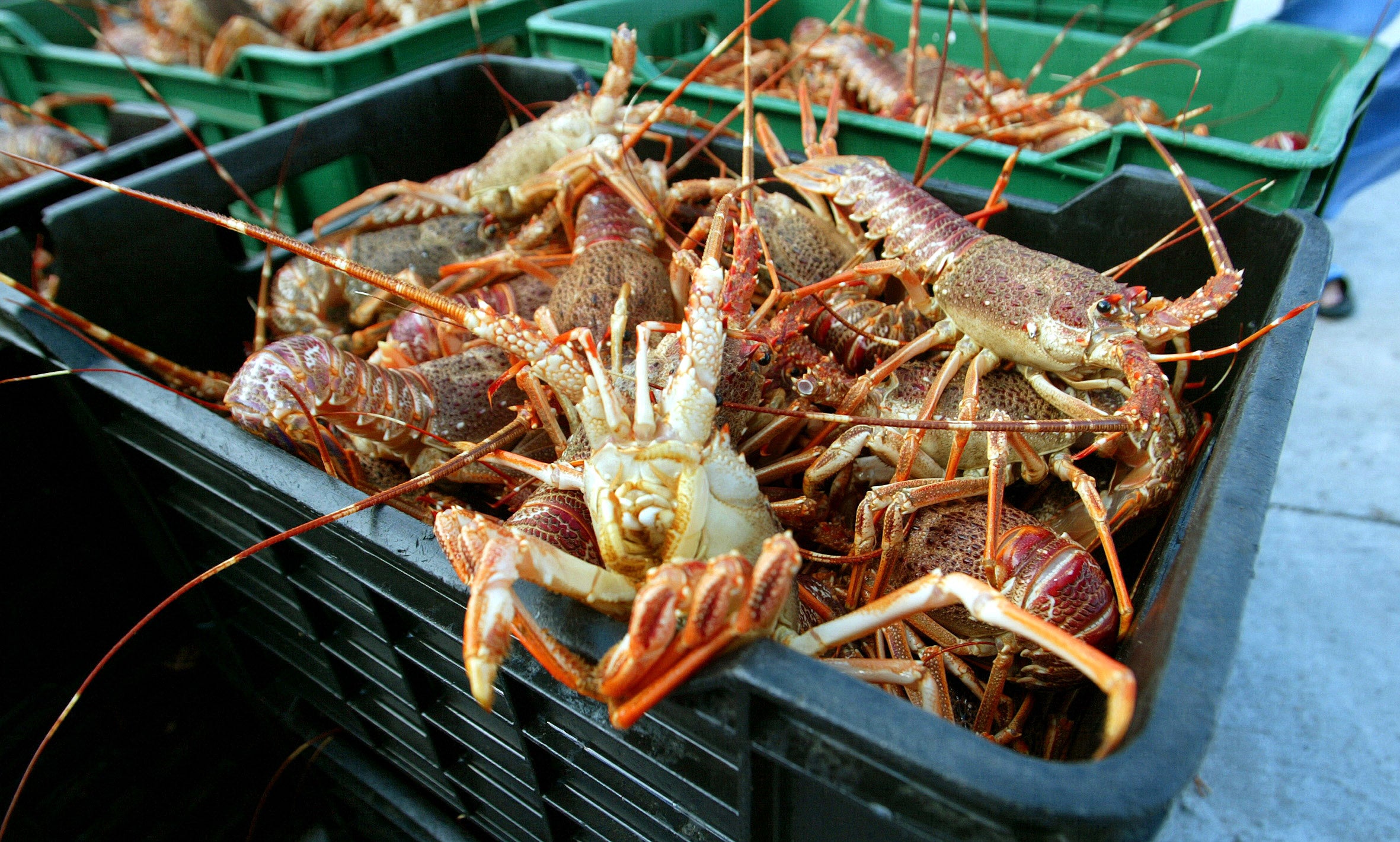 Crates of Rock Lobster are offloaded on the dock of Cape Town's Kalk Bay harbour, September 17, 2003. Image credit: Mike Hutchings/REUTERS