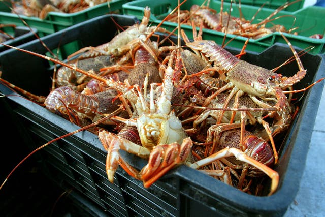 Crates of Rock Lobster are offloaded on the dock of Cape Town's Kalk Bay harbour, September 17, 2003. Image credit: Mike Hutchings/REUTERS