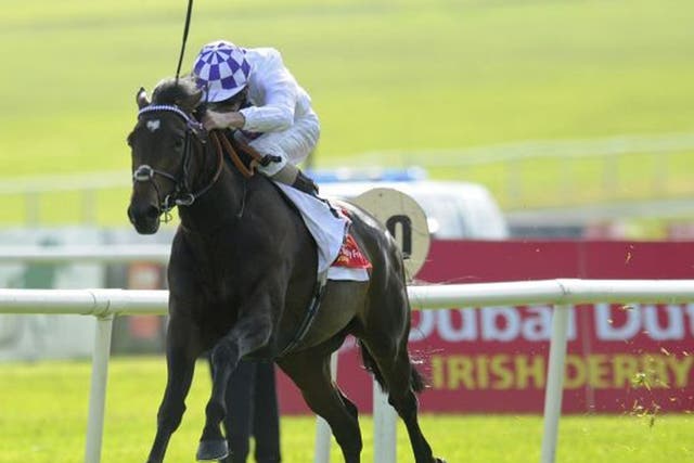 Trading Leather showed his potential in the Irish Derby