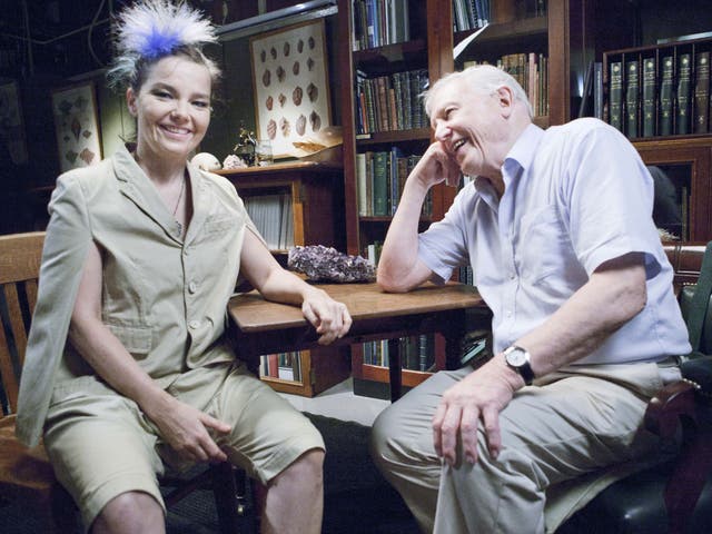 On Safari: Björk and David Attenborough, pictured out of their natural environments