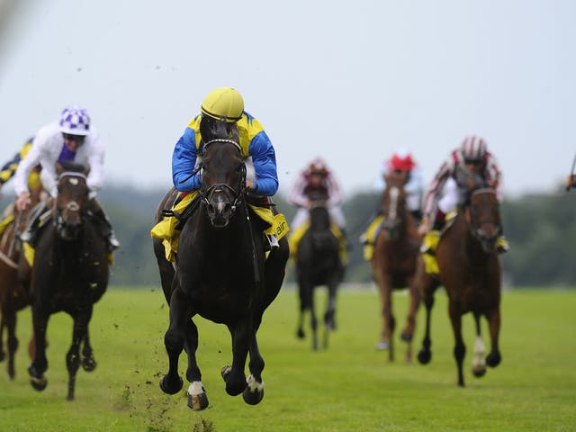 Convincing tale: Novellist adds another chapter to his burgeoning story with a handsome five-length victory under Johnny Murtagh in the King George at Ascot