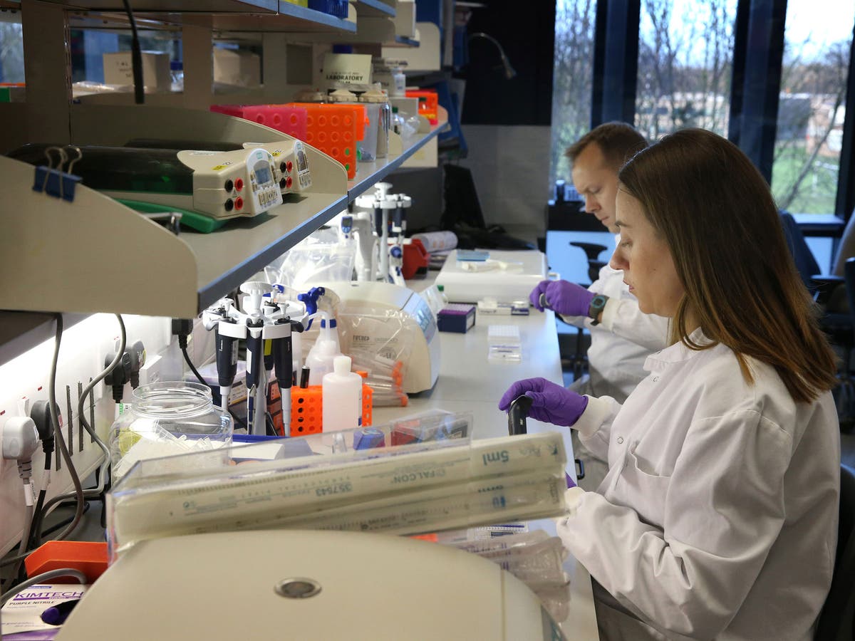 Testicular cancer ‘cure’ almost a reality as 96 are successfully