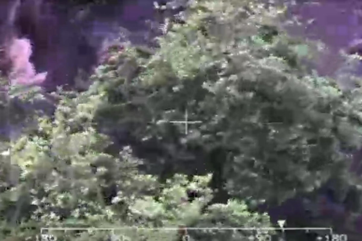 Video: Dramatic river rescue in Yorkshire | The Independent | The ...