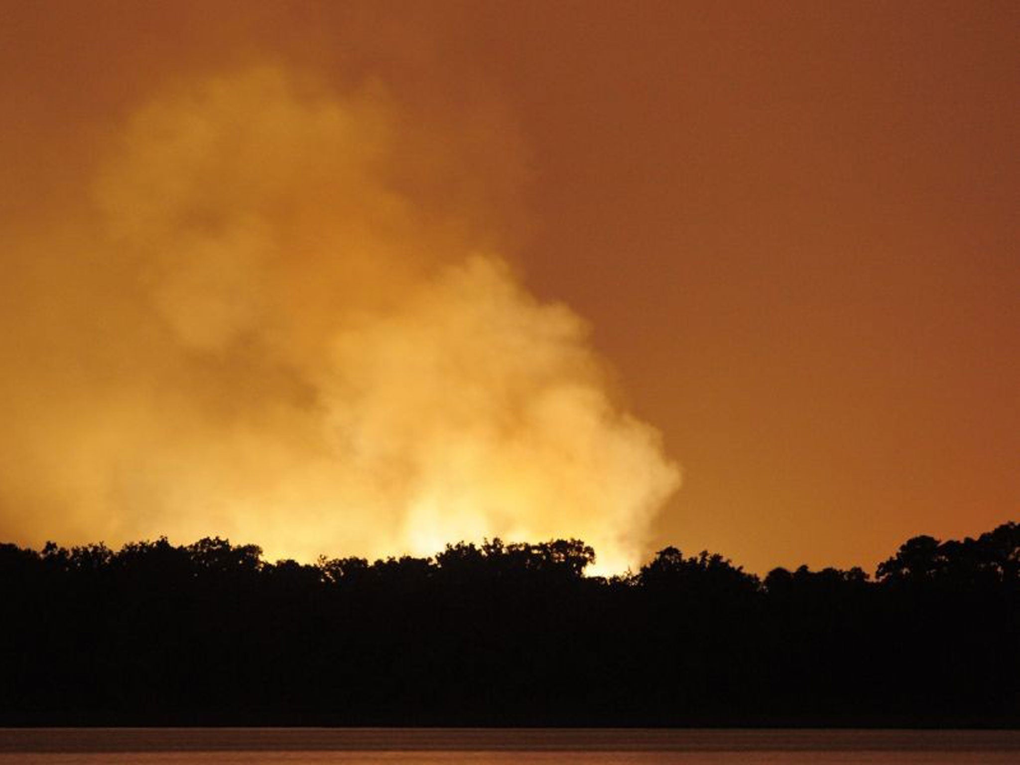 Fire blazing above the marshy Florida tree-line after series of explosions at a gas plant
