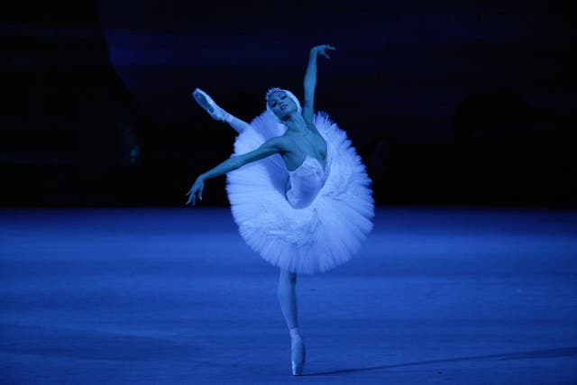Ekaterina Shipulina dances Swan Lake