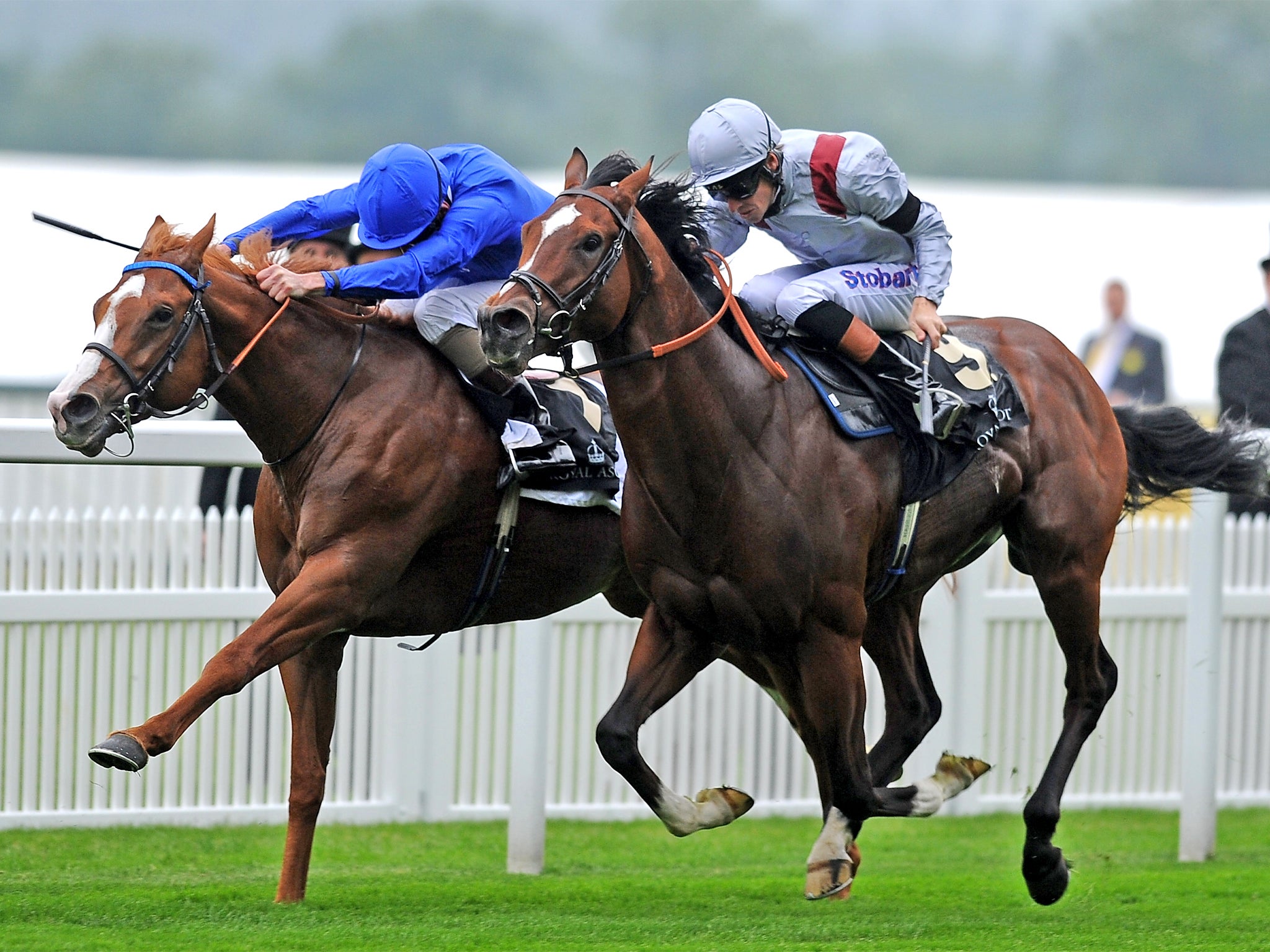 Dawn Approach (left) defeats Toronado to win the St James’s Palace Stakes at Royal Ascot last month
