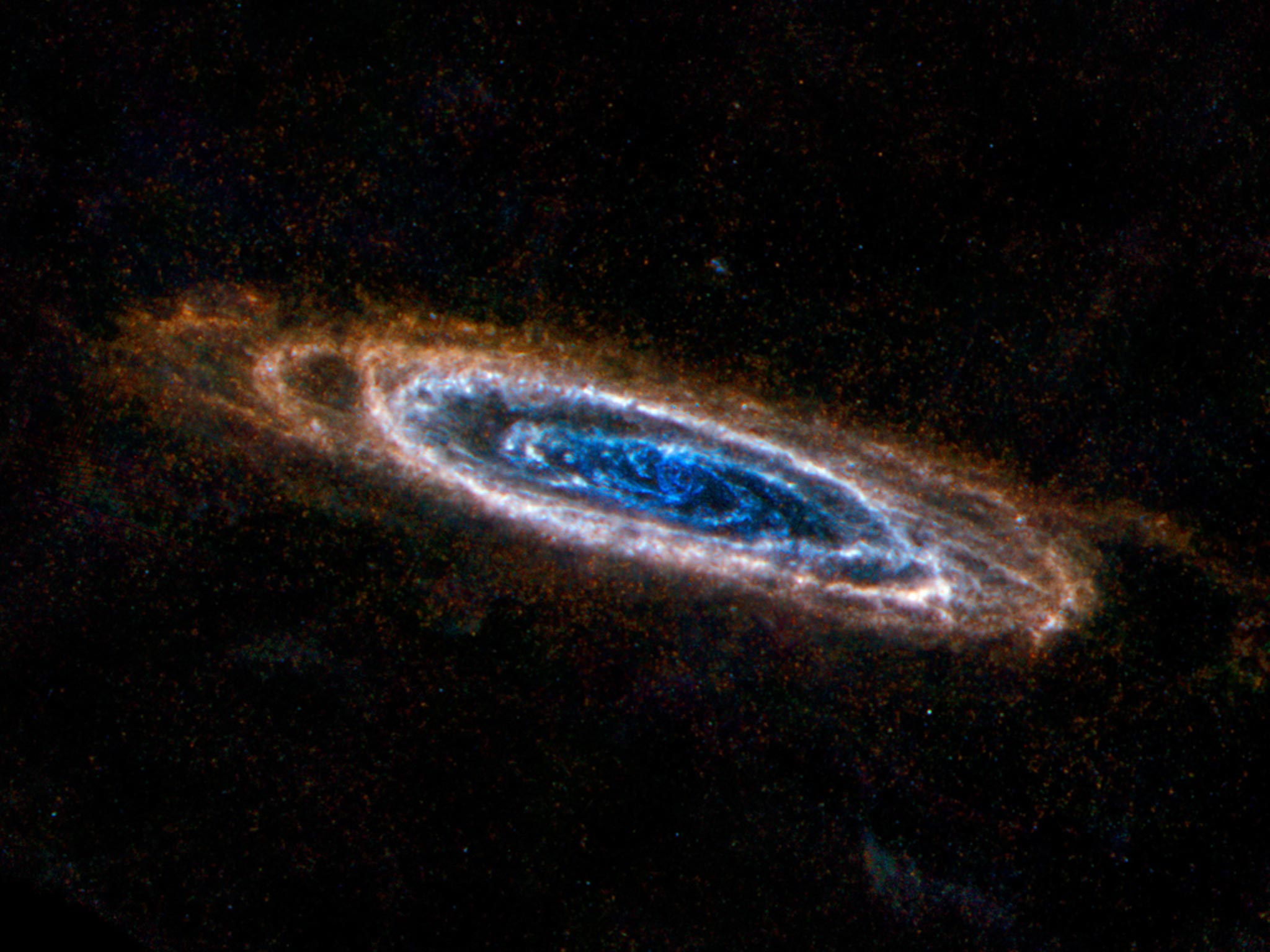 The ring-like swirls of dust filling the Andromeda galaxy