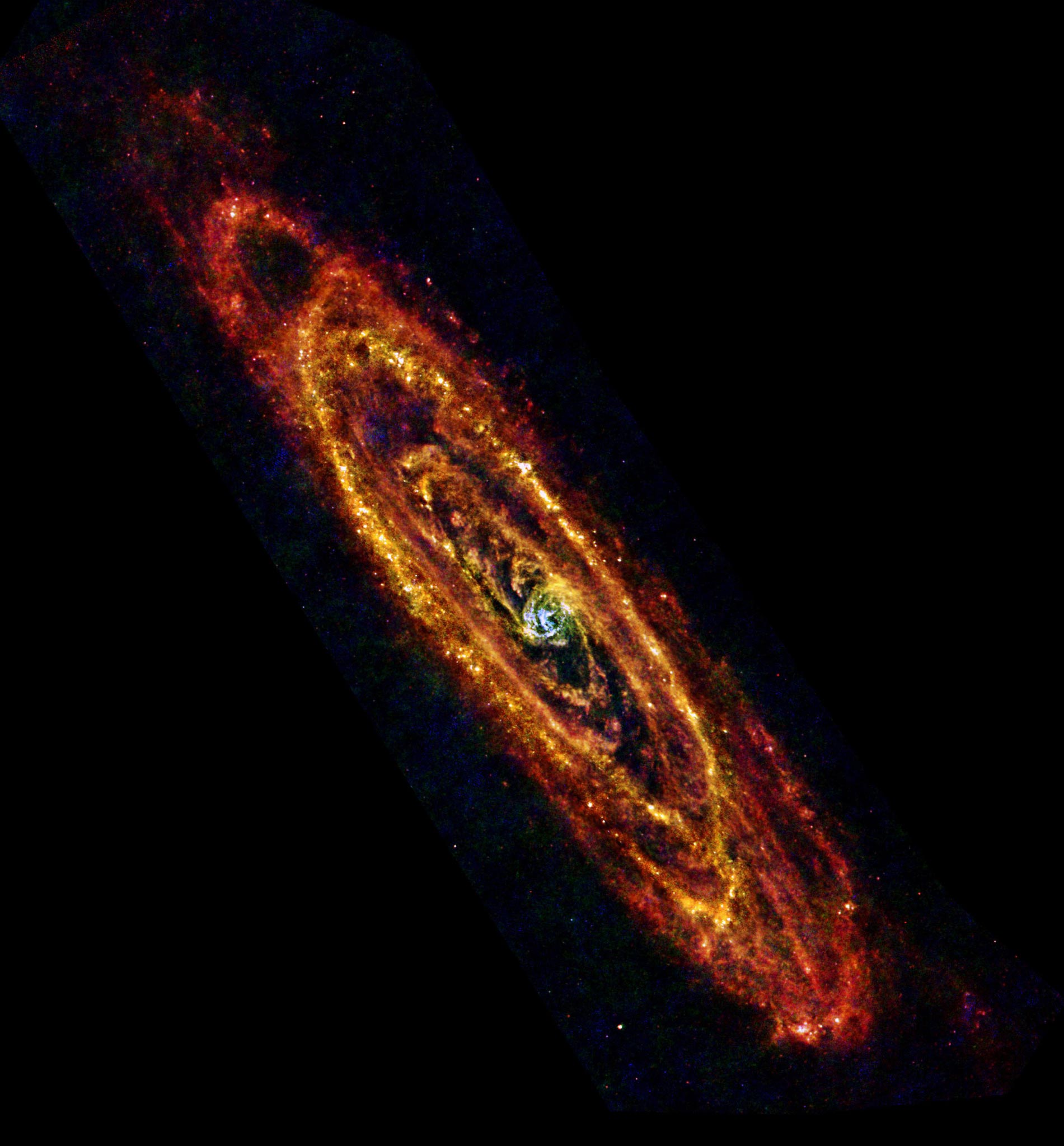 The Andromeda galaxy from the Herschel space observatory