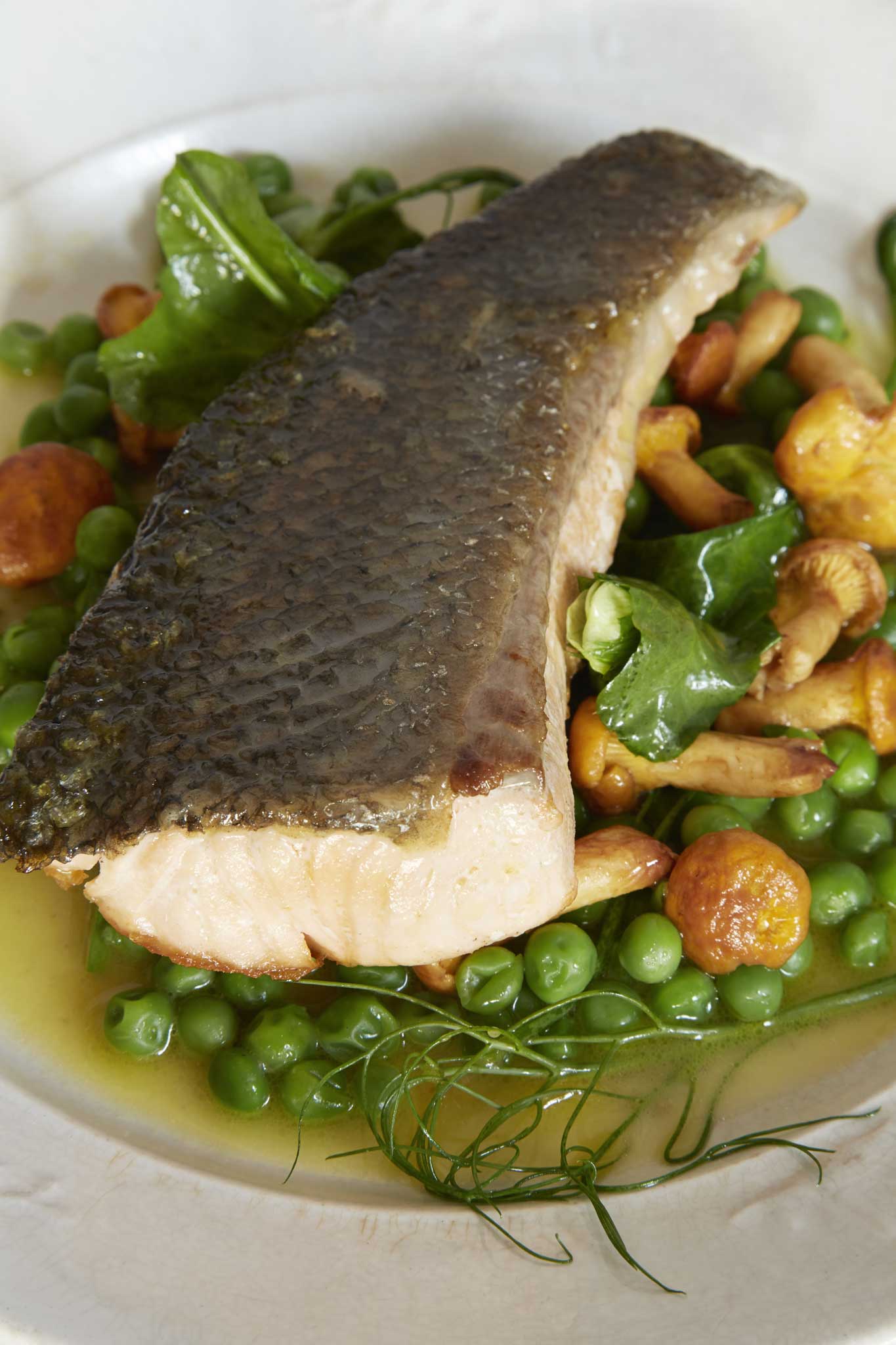 Salmon tail with peas and girolles