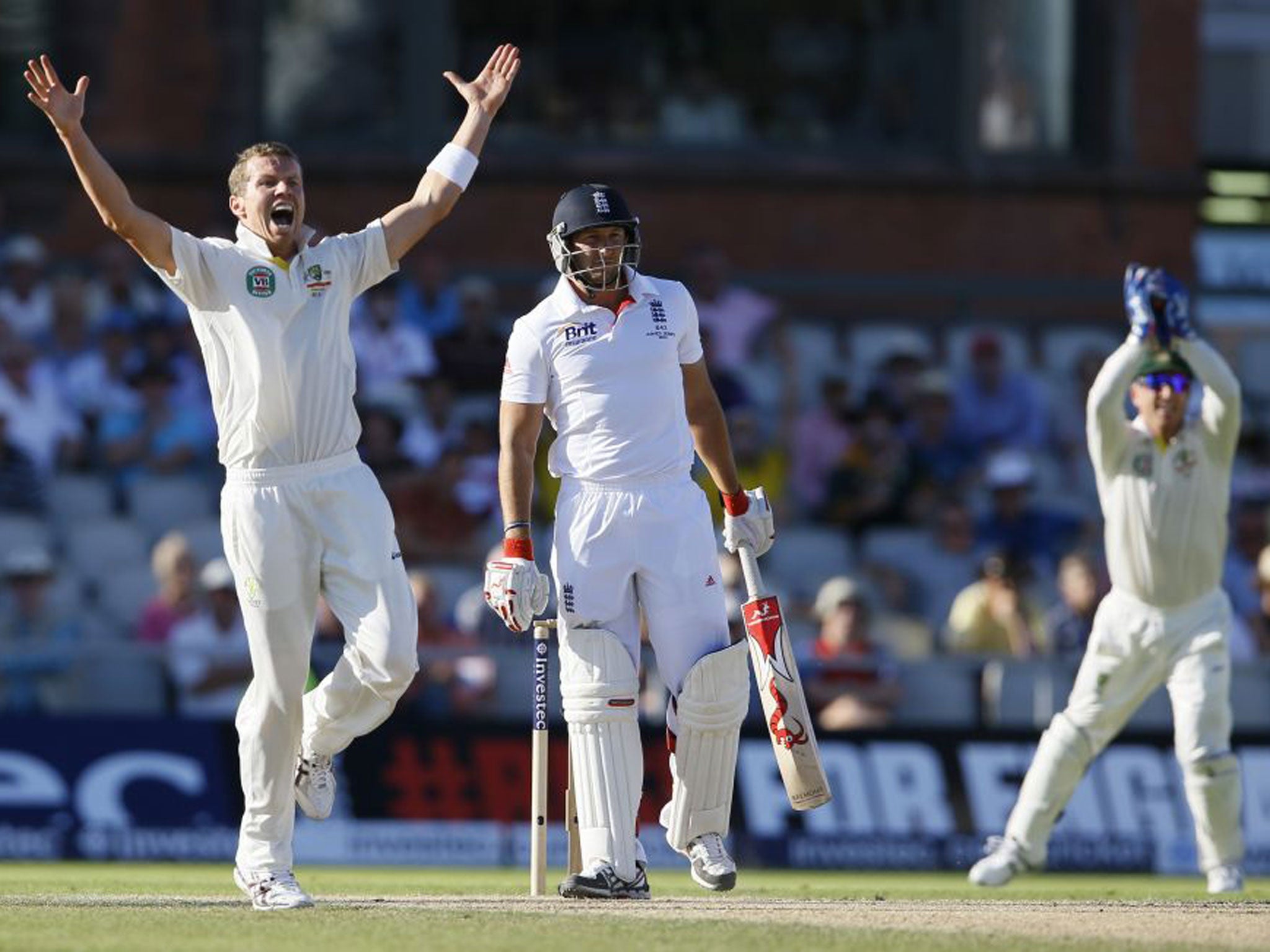 Peter Siddle appeals successfully for the wicket of Tim Bresnan late in the day