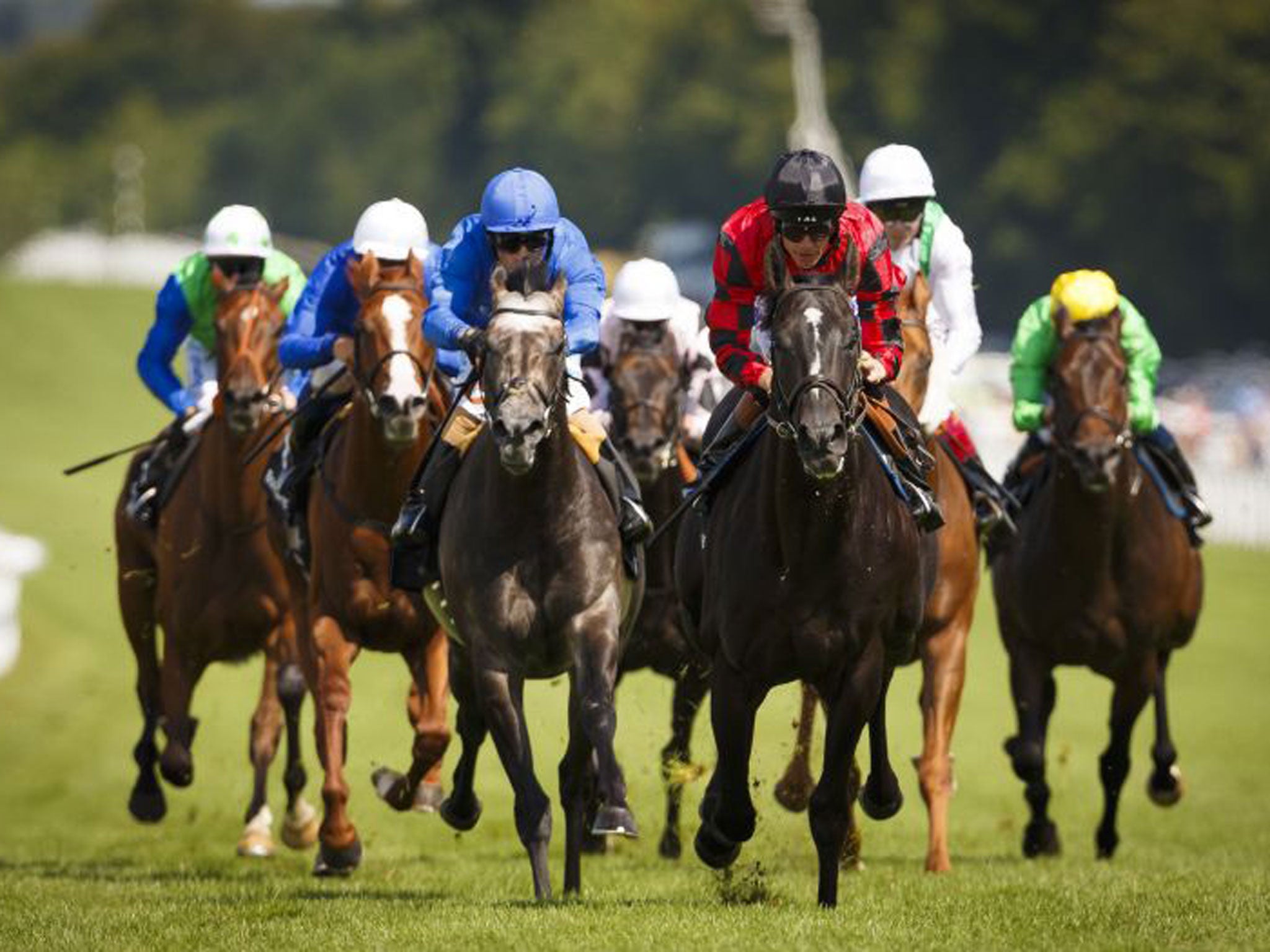 Montiridge (black cap) finishes in front at Goodwood yesterday