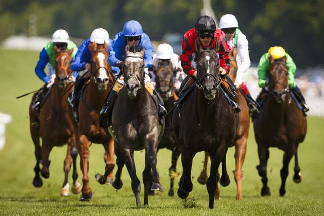 Montiridge (black cap) finishes in front at Goodwood yesterday 