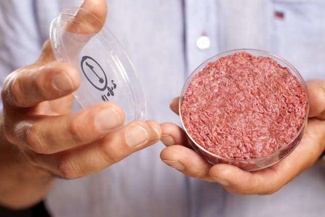 <p>Cultured meat is meat grown using animal cells </p>