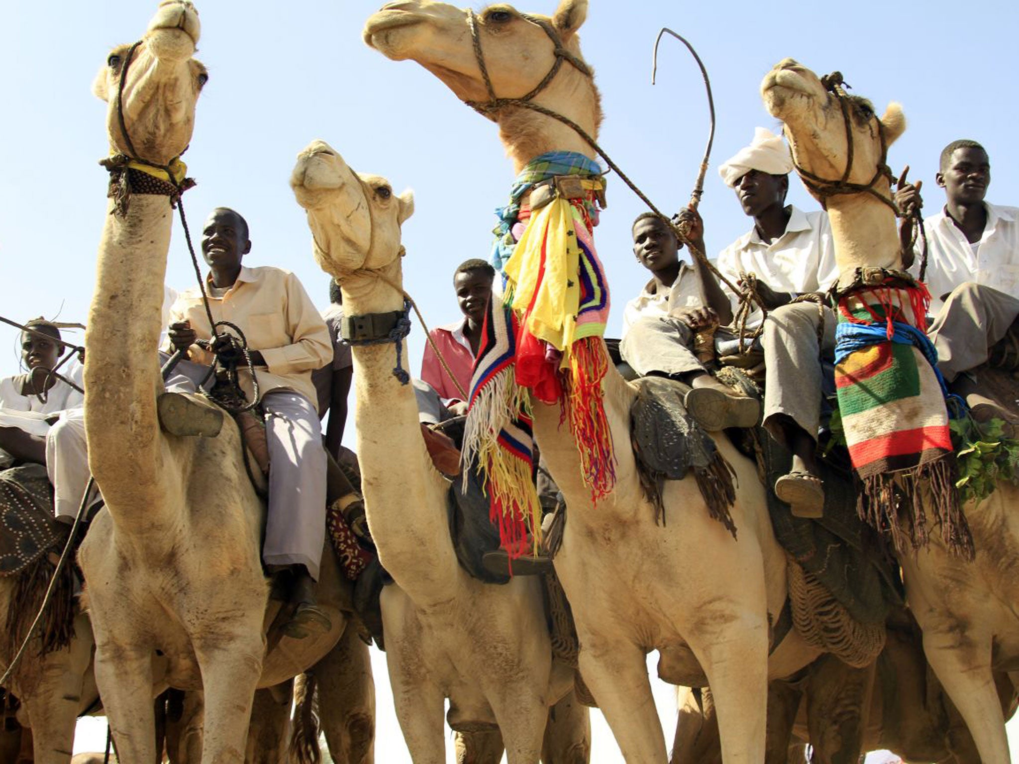 Ship of the desert: Camels of Arabia suspected of carrying deadly virus  cargo | The Independent | The Independent