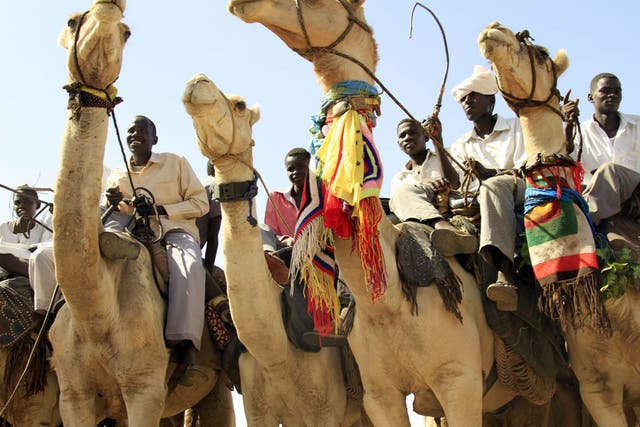 Coming into contact with camels has been known to spread the respiratory virus 