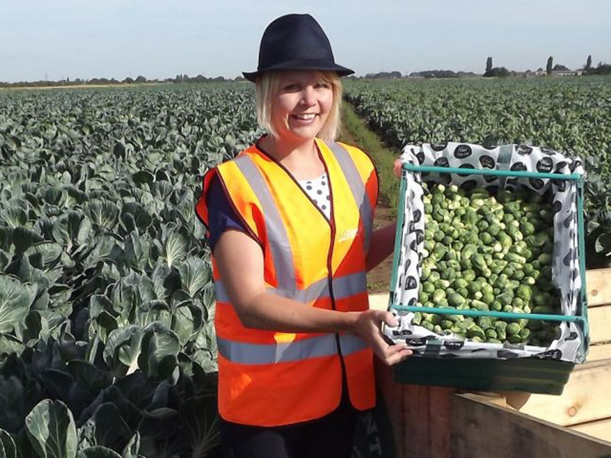 Sprouts being harvested by Jane Bentley at TH Clements farm in Boston