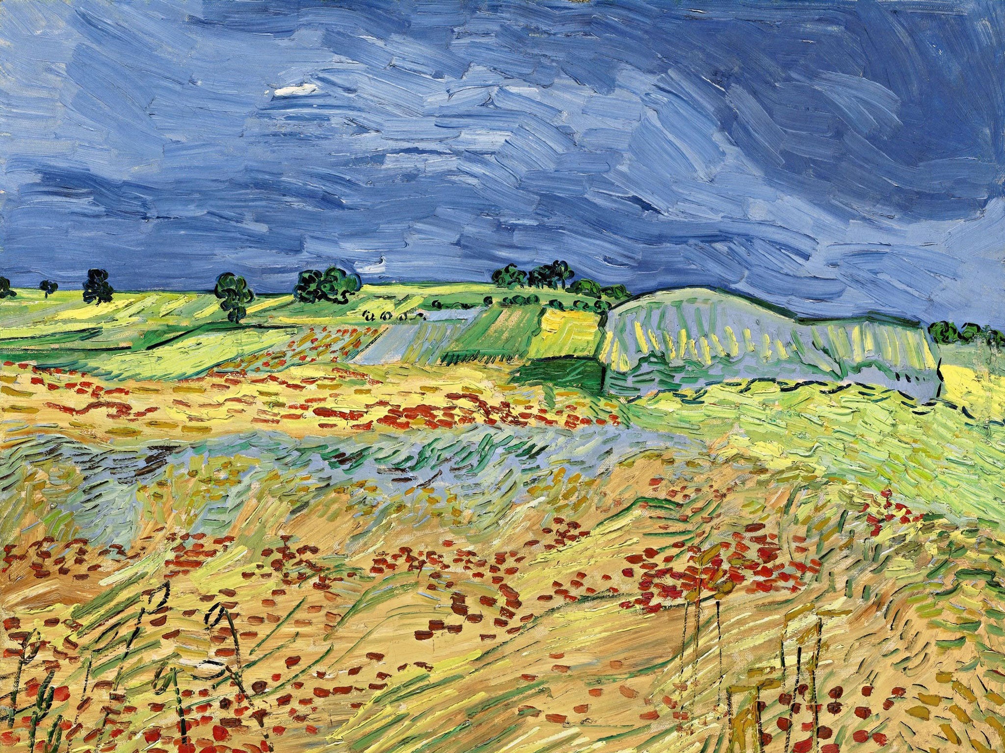 Vincent Van Gogh's 'The Fields (Wheat Fields)'