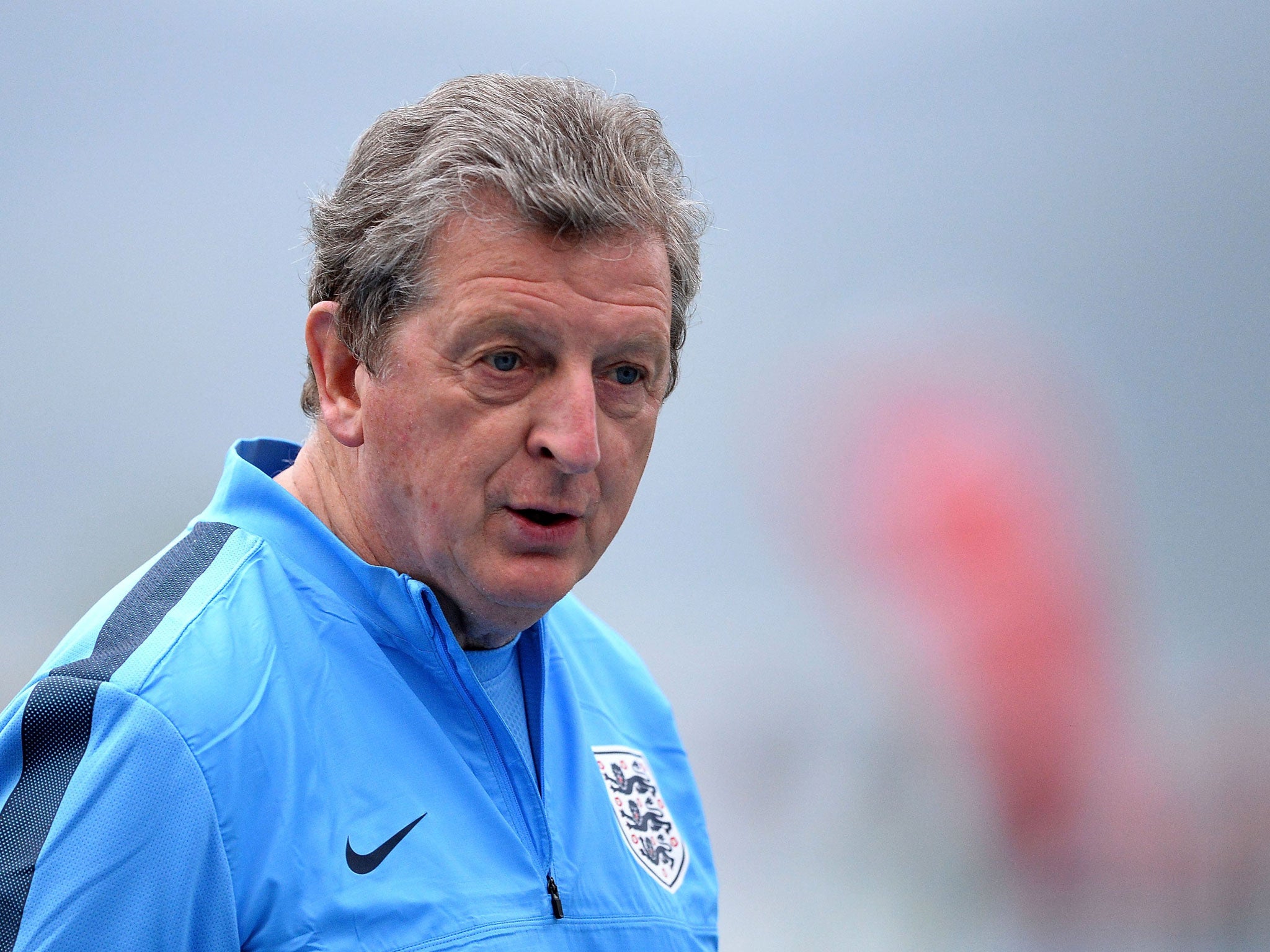 Roy Hodgson: Dyke said the England manager was confident of reaching Brazil (Getty)