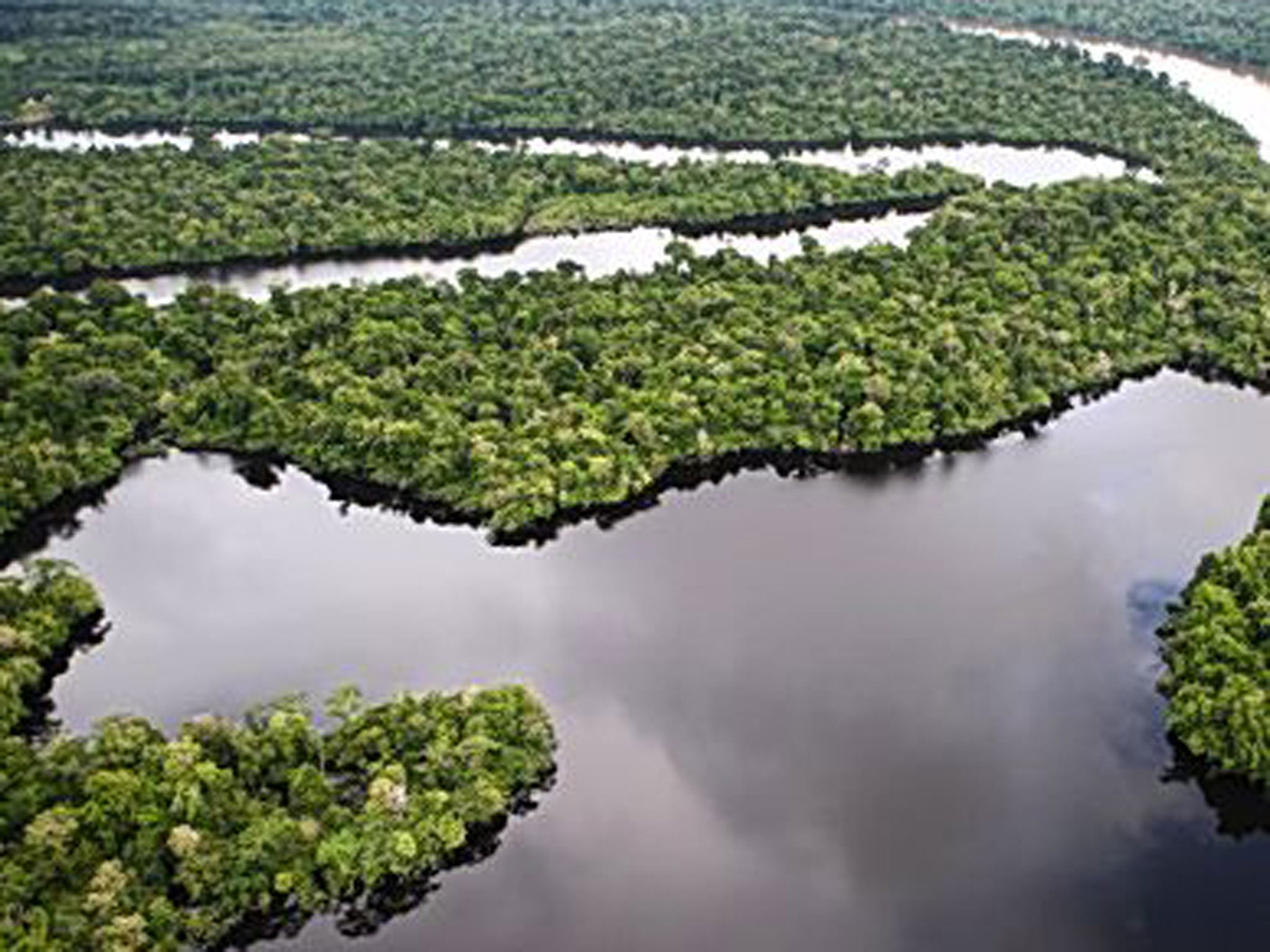 The Amazon’s eco-systems have been damaged