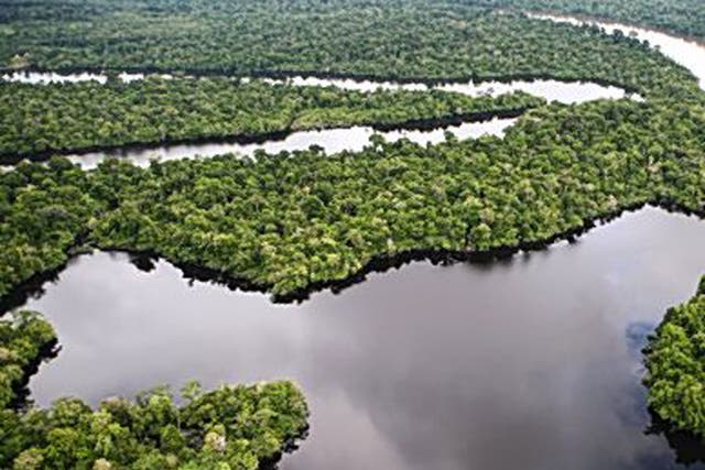 The Amazon’s eco-systems have been damaged