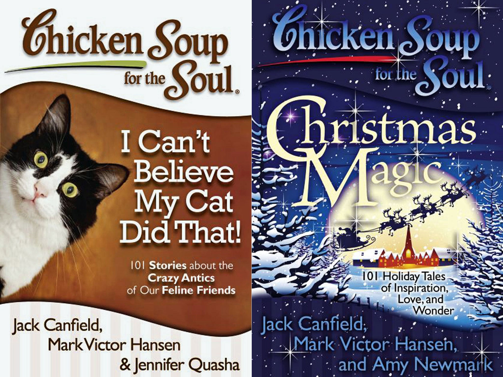 thumbnail image 2 of Chicken Soup For The Soul: What I Learned From The Cat – 101 Stories About Life & Love (2009) 2 of 2