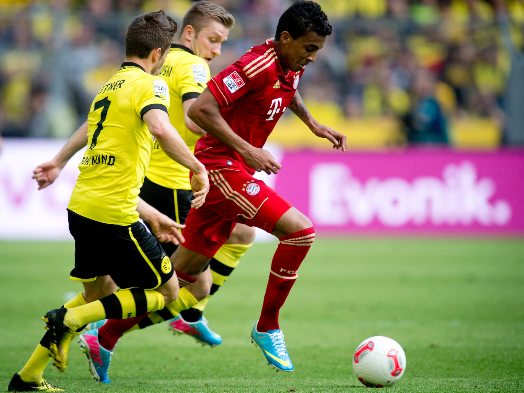 Luiz Gustavo can fill the gap left by Alex Song