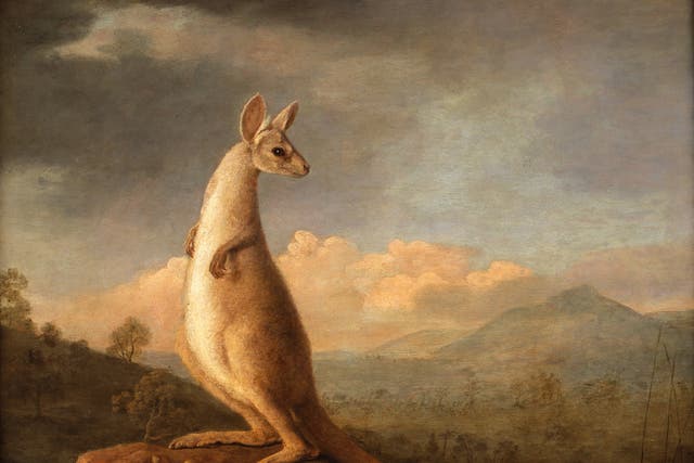 The Kongouro from New Holland (The Kangaroo) by George Stubbs