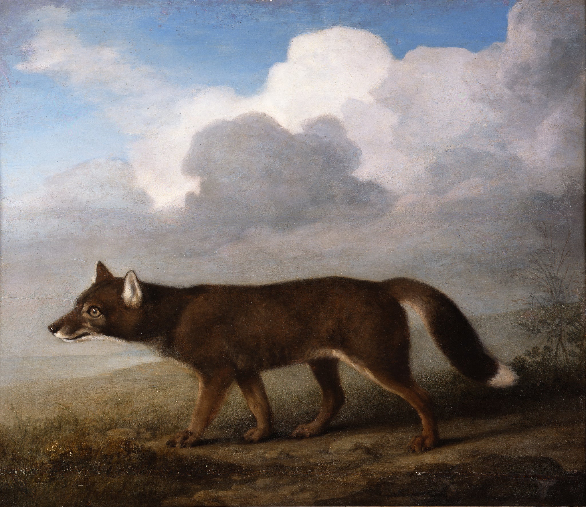 Portrait of a Large Dog (The Dingo) by George Stubbs