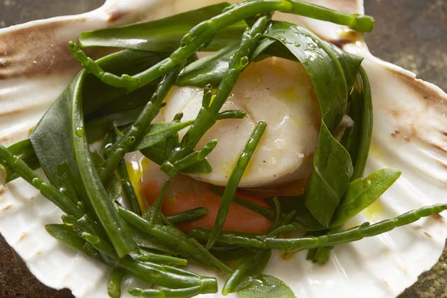 Place the scallop shells on plates, arrange the sea vegetables on the scallops and spoon over a little rapeseed oil