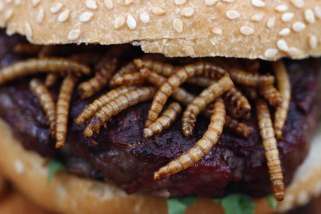 A pigeon burger with mealworms at the 'pop up' stand at One New Change