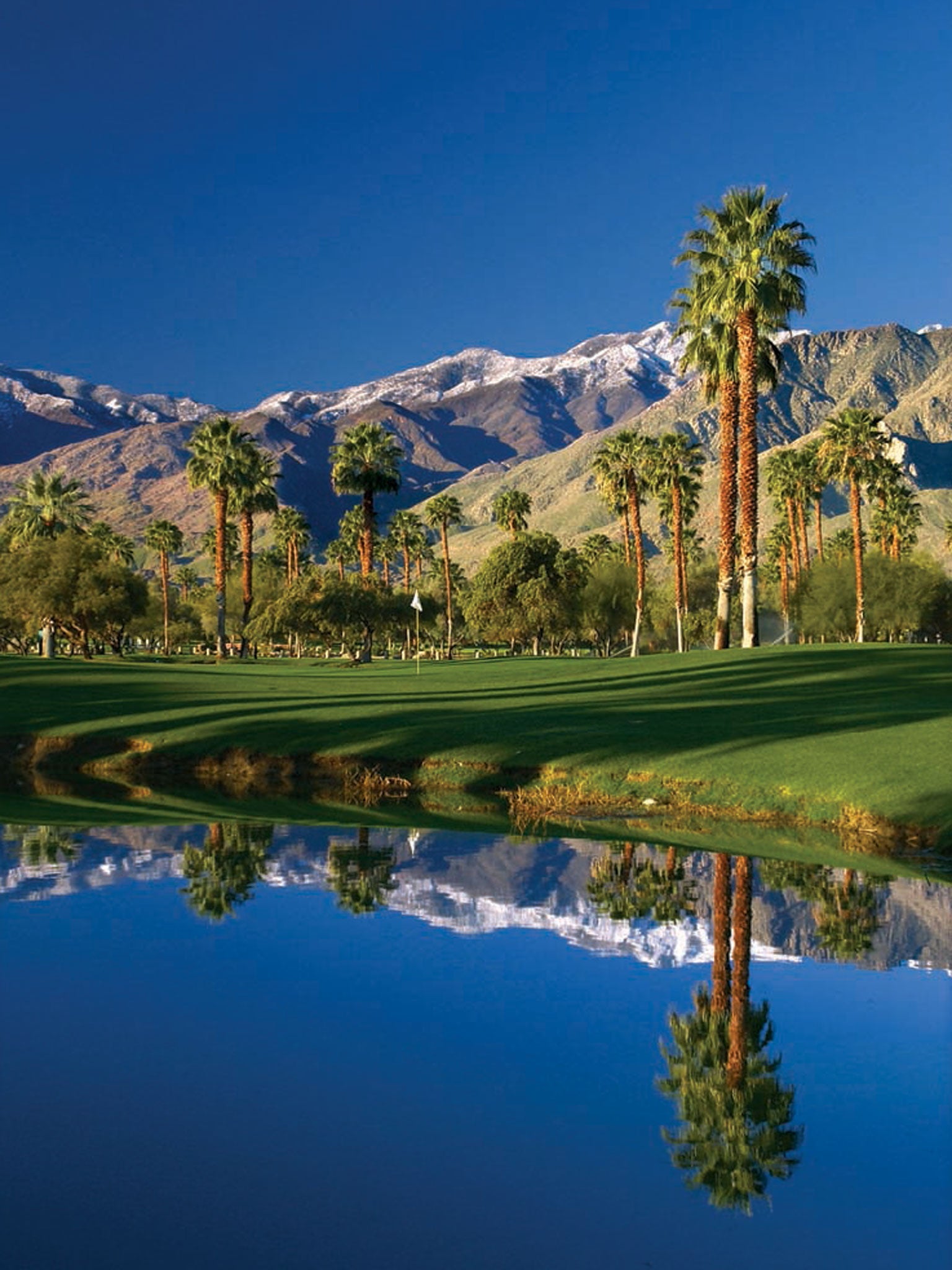 Palm Springs, California: The enduring appeal of a desert playground ...