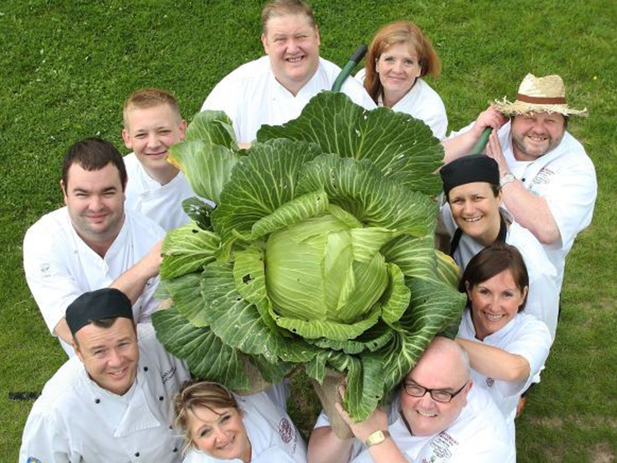 Ten chefs at the Harrogate Autumn Flower Show in North Yorkshire launched their bid to set a world record to cook the most dishes in one day from one single giant cabbage