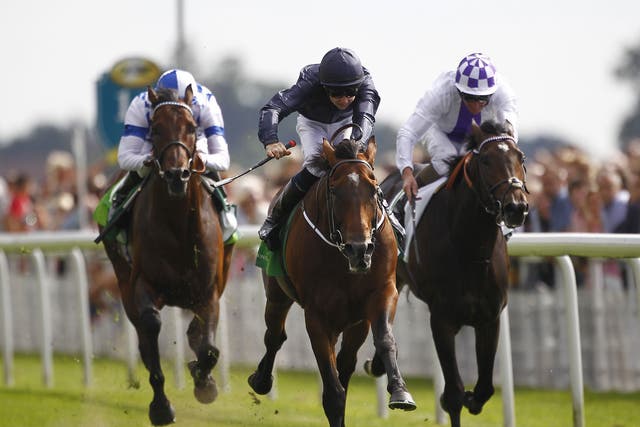 Declaration Of War (centre) proves too strong for Trading Leather (right) and Al Kazeem in the Juddmonte International 