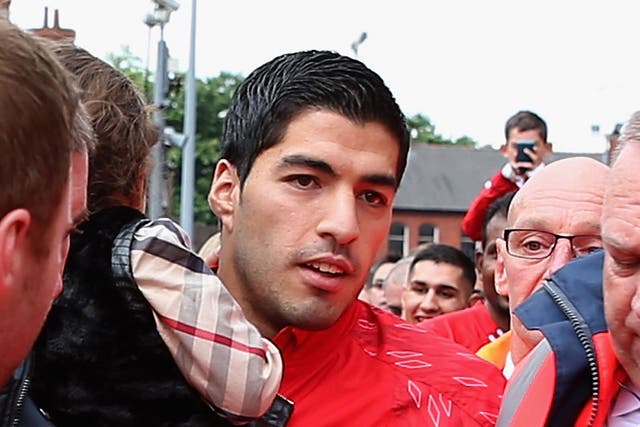Luis Suarez has returned to the fold at Liverpool