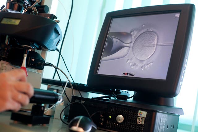 Doctor Katarzyna Koziol injects sperm directly into an egg during in-vitro fertilization (IVF) procedure.