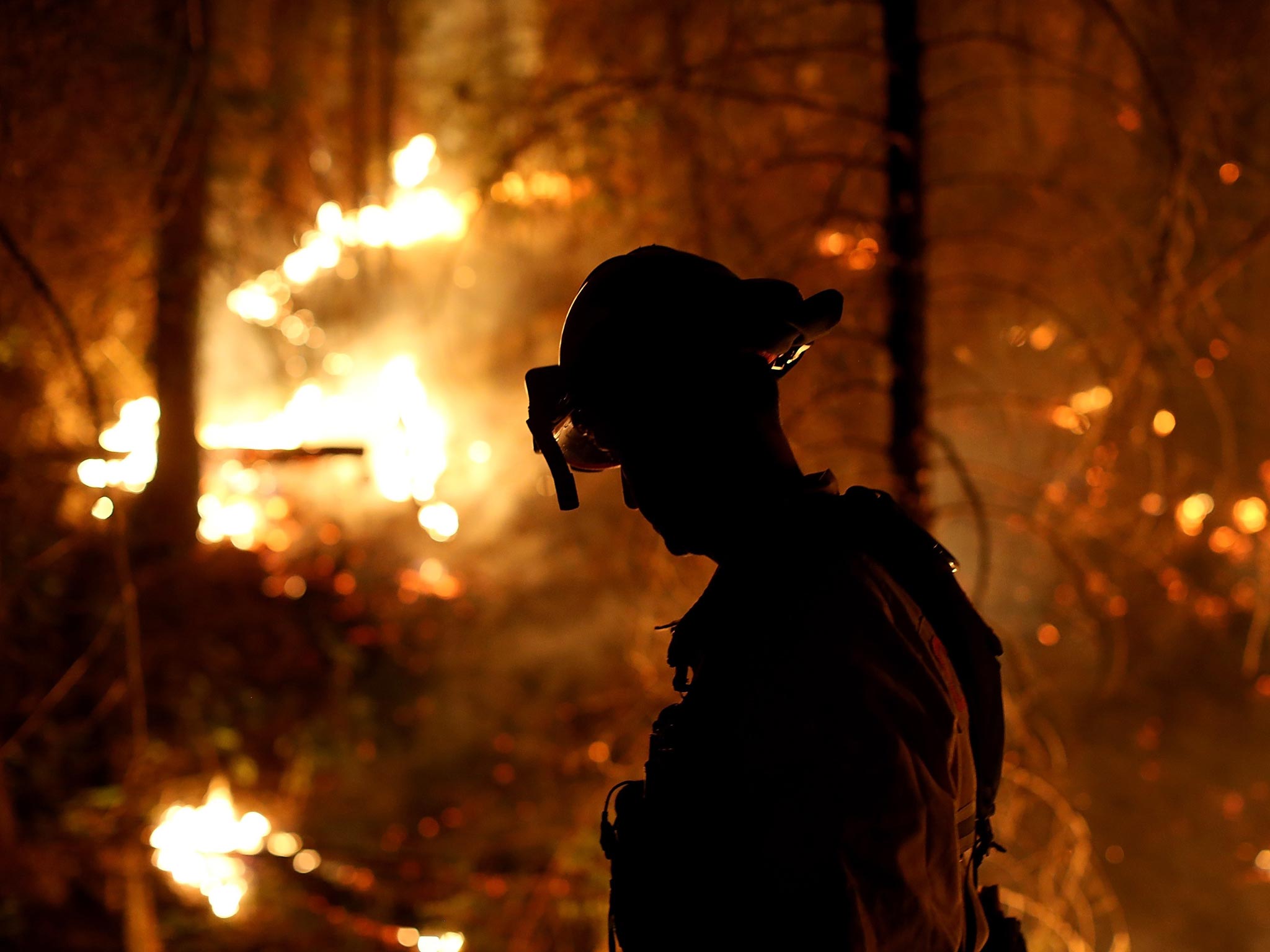 A firefighter from Cosumnes Fire Department monitors a back fire while battling the Rim Fire in Groveland, California