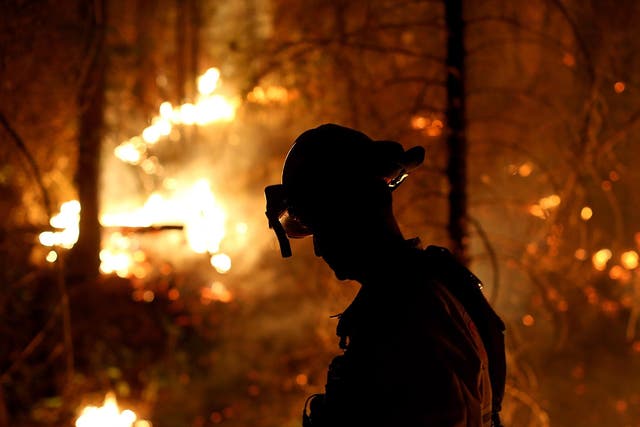 A firefighter from Cosumnes Fire Department monitors a back fire while battling the Rim Fire in Groveland, California