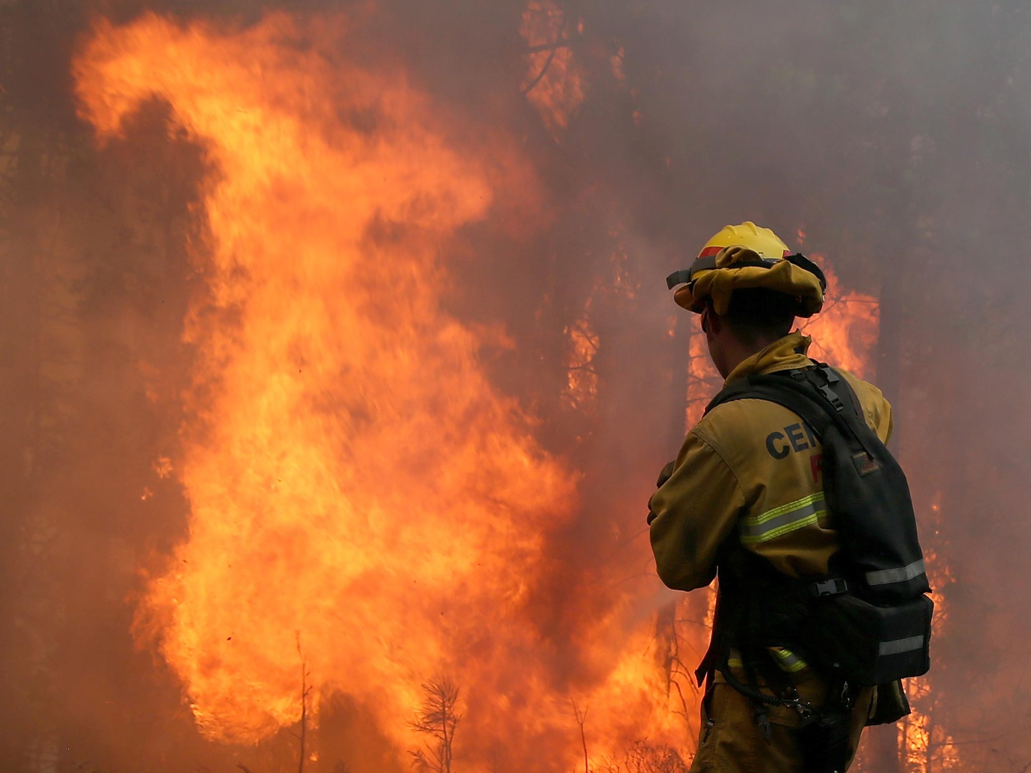 A firefighter from Central Calaveras Fire monitors the Rim Fire in Groveland, California