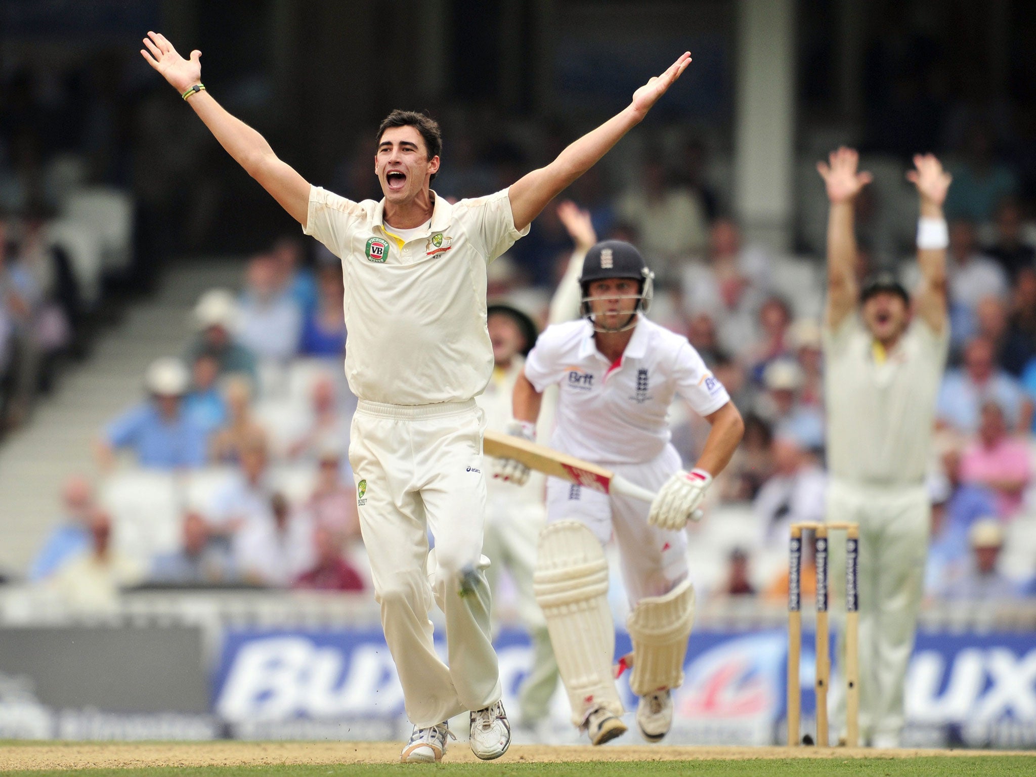 Mitchell Starc appeals successfully for the wicket of Jonathan Trott