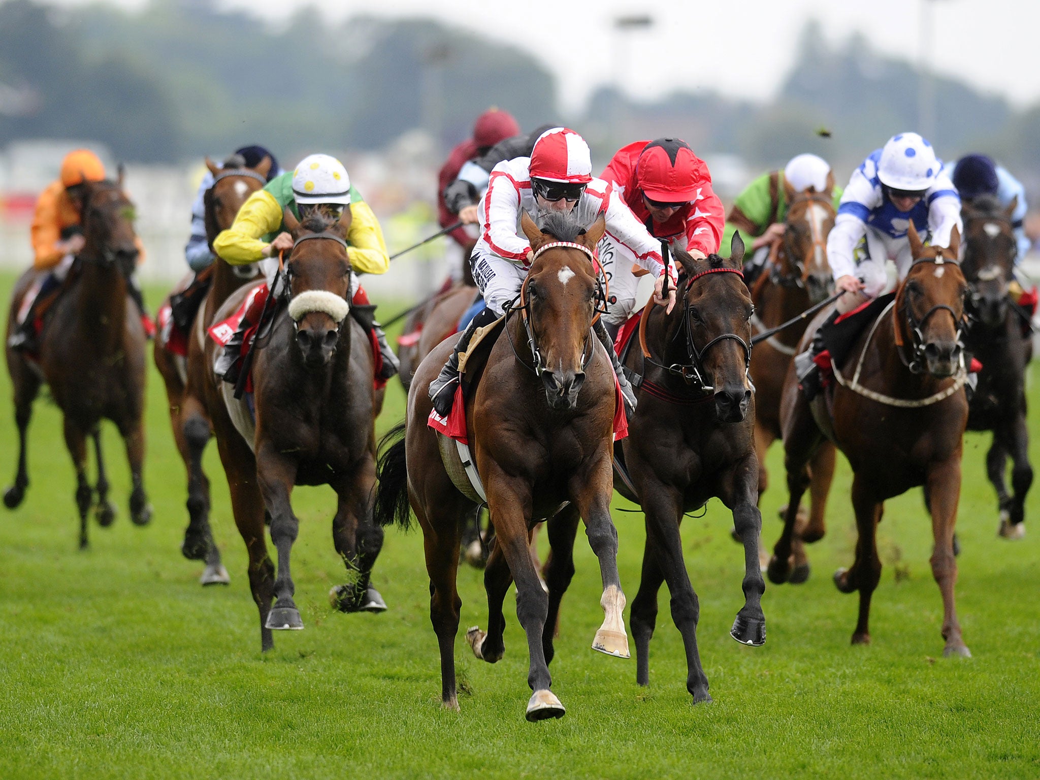 Tom Queally, the jockey, judges the finish perfectly as Tiger Cliff wins the Ebor Handicap