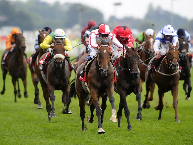 Tom Queally, the jockey, judges the finish perfectly as Tiger Cliff wins the Ebor Handicap