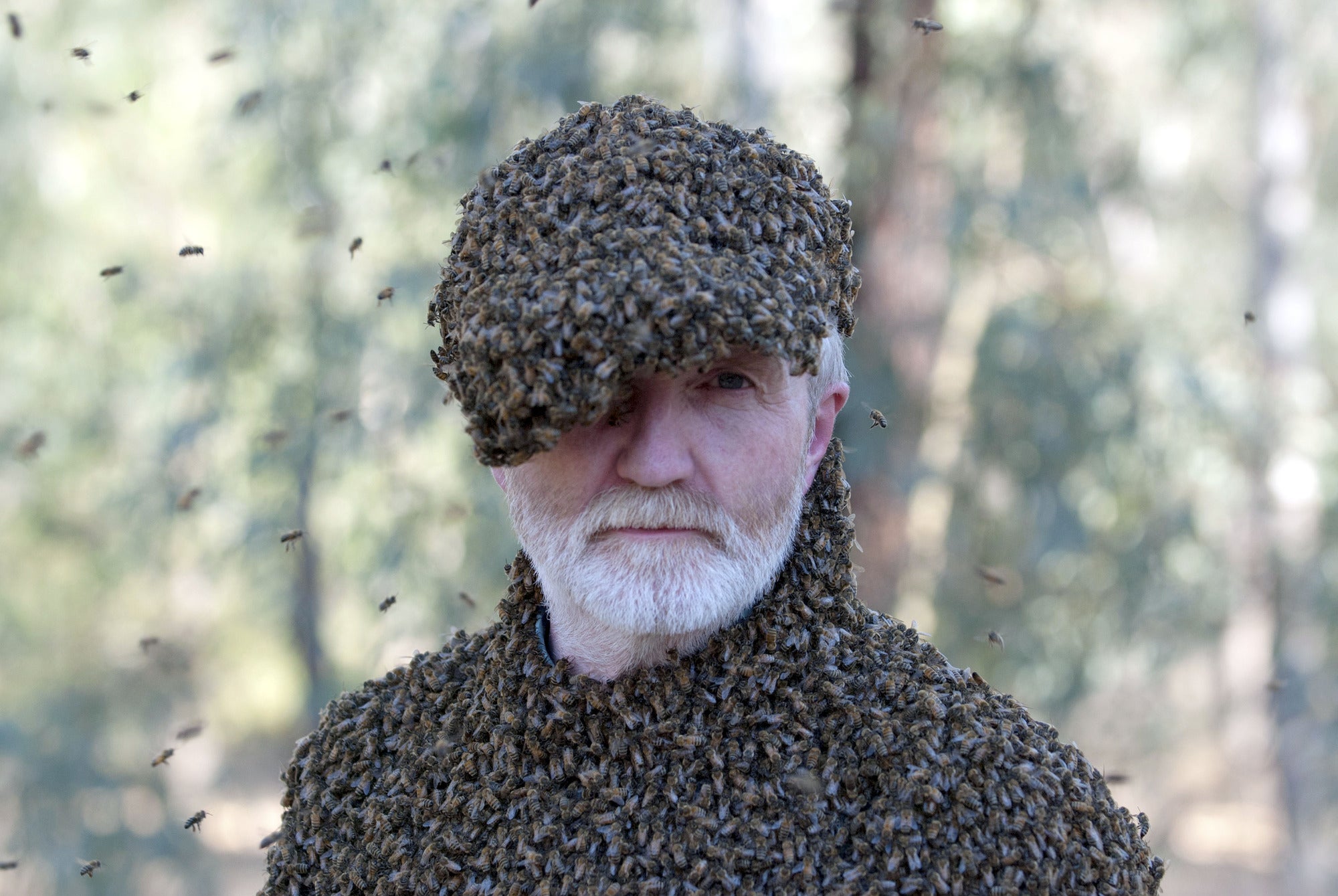 Dr George McGavin covered in bees