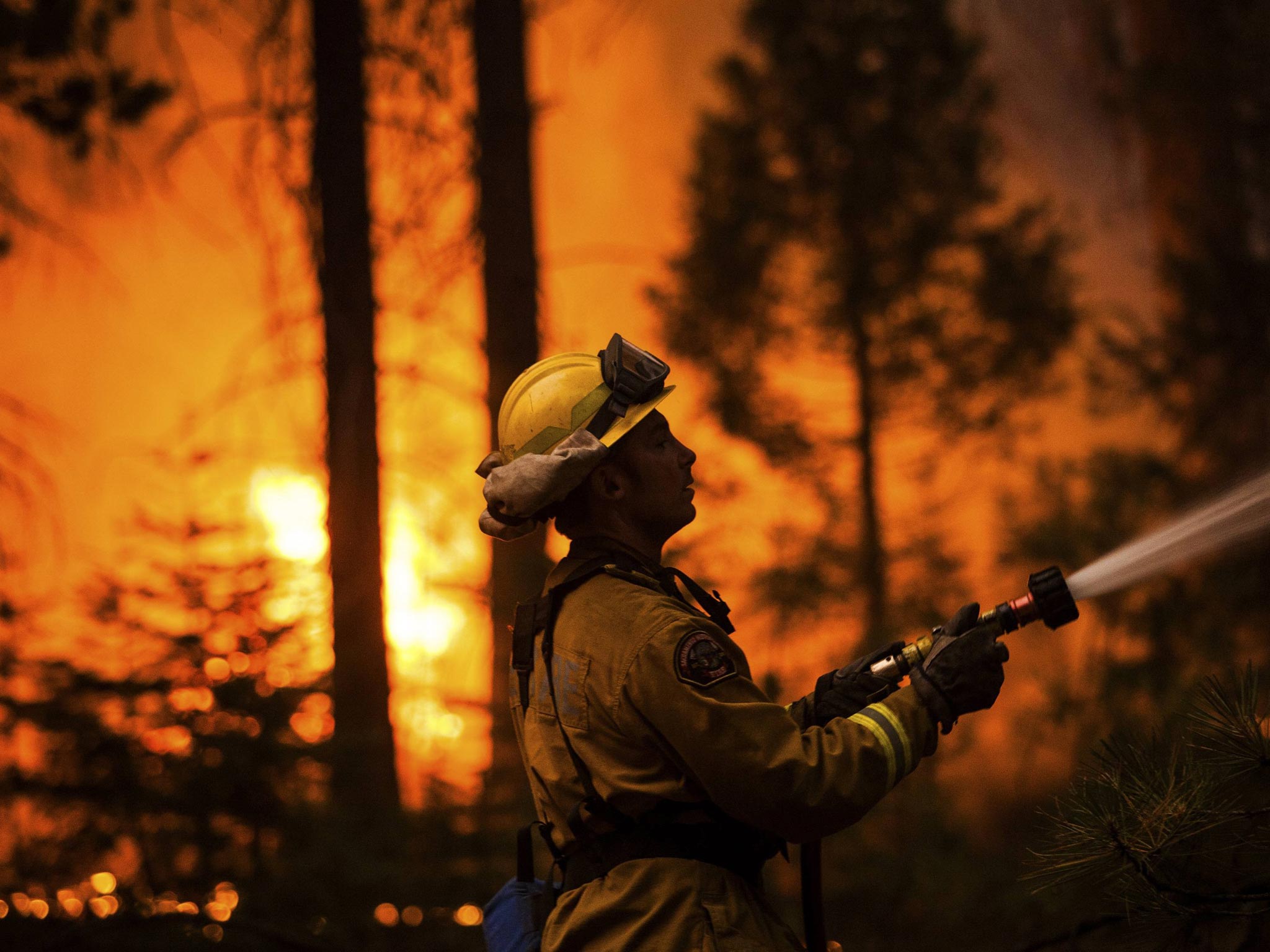 Sacramento Metropolitan firefighter Matt Owston works the Rim Fire line near Camp Mather, California