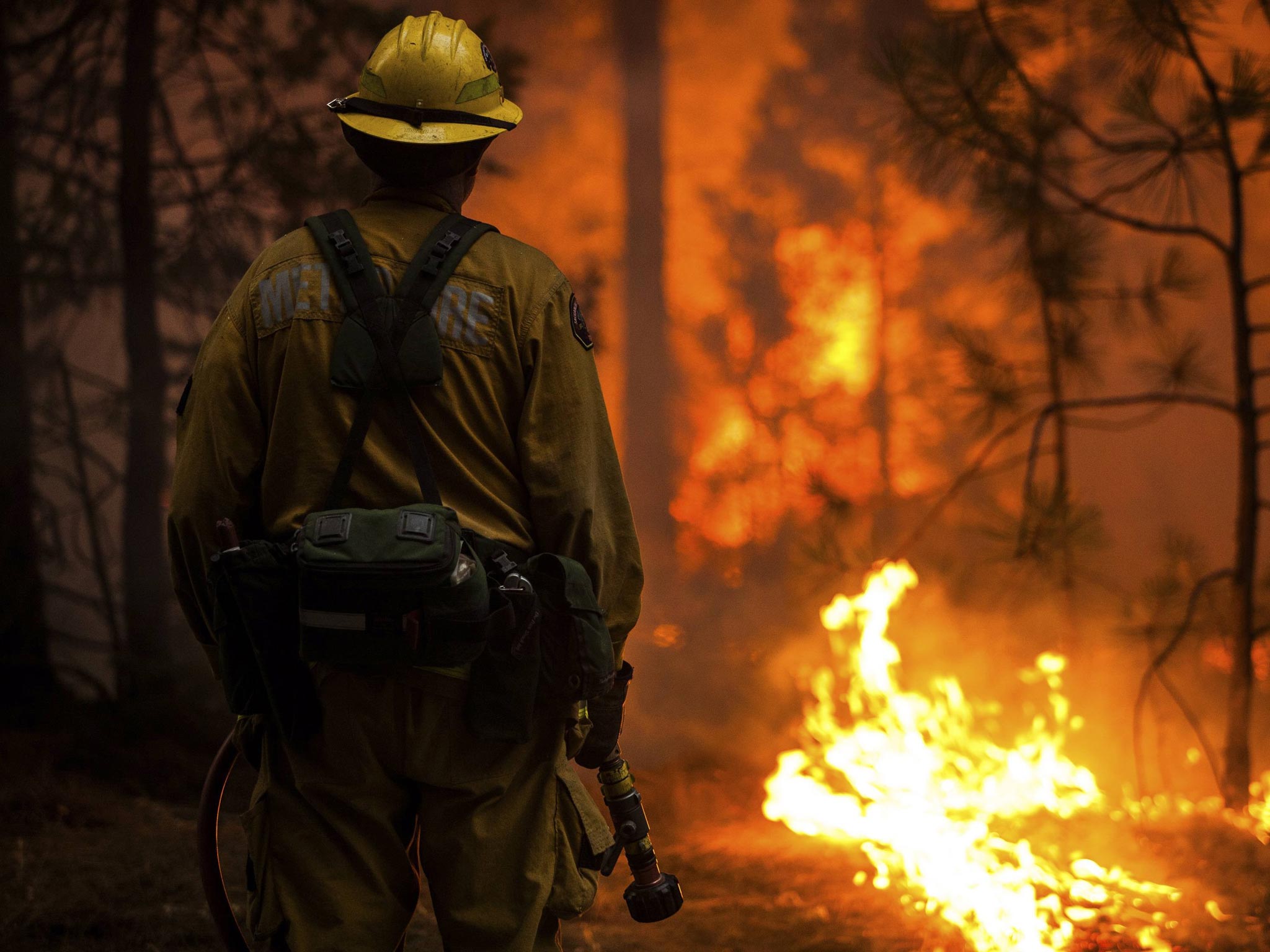 Sacramento Metropolitan firefighter Clint Alexander monitors the Rim Fire near Camp Mather, California