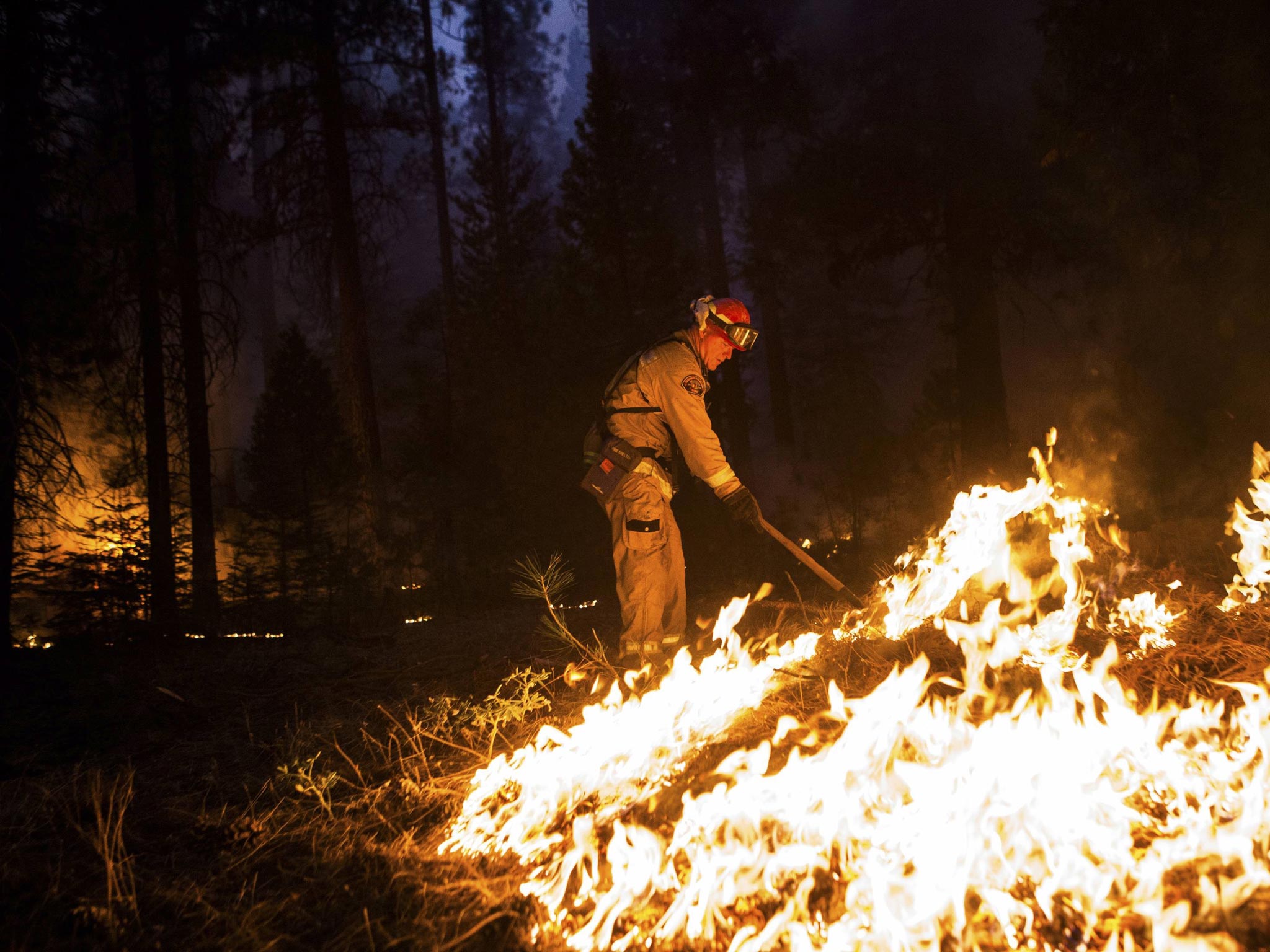 Sacramento Metropolitan firefighter John Graf works on the Rim Fire line near Camp Mather, California